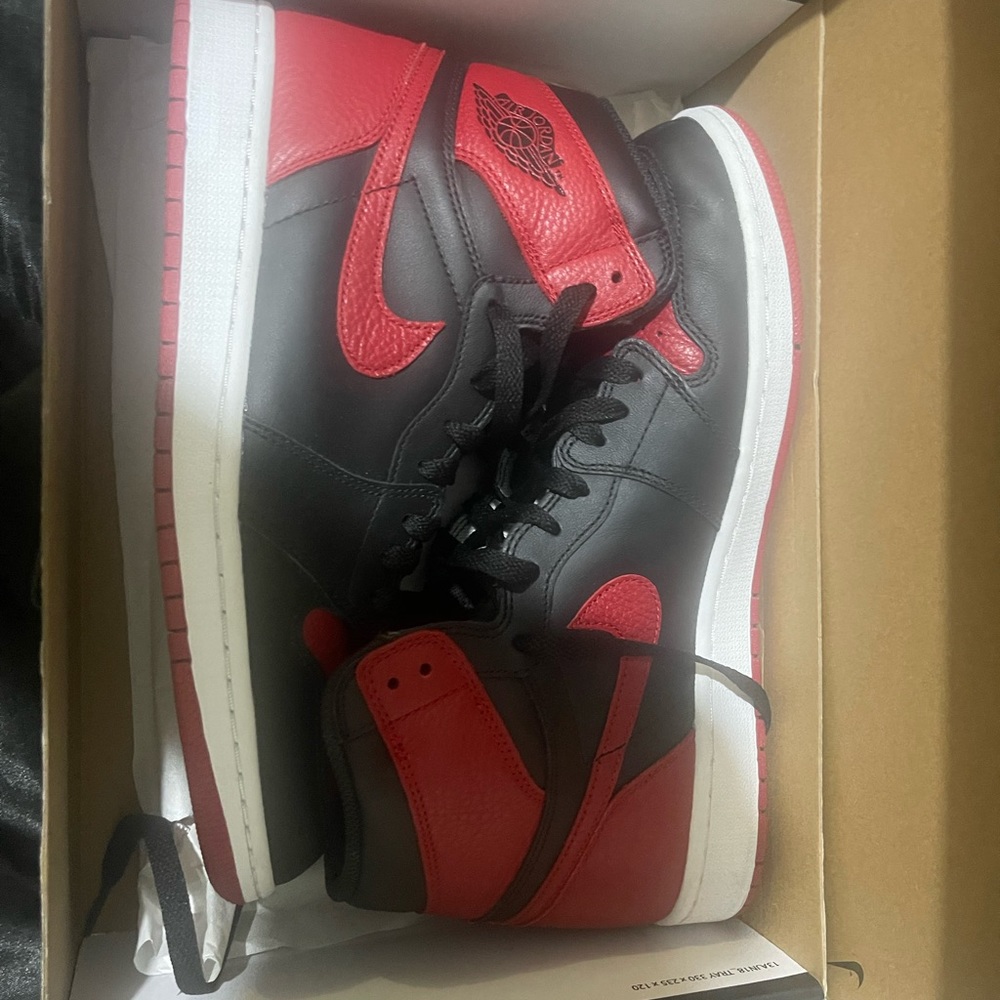 Jordan 1 high bred size 10.5